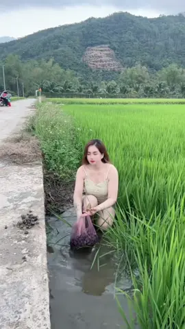 Vy mò cua bắt ốc về ăn sống lây lất qua ngày 😀😀😀…