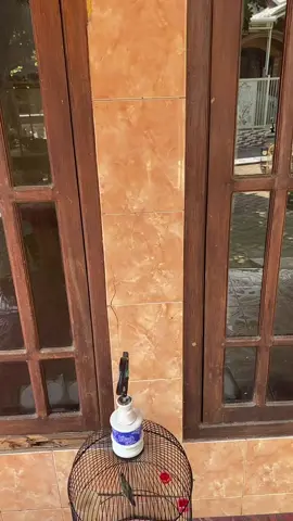 Pernah jaya pada masanya 