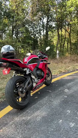 #cbr600 #🥵🔥 #ktmmuser #ktmcity #honda 