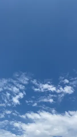 hallu semua 🙋‍♂️🤝🙏😬#pbtc_transcabe🌶️🌶️ #prabwowobersaudaratranscabe #fyppppppppppppppppppppppp #teamreaksicepat 