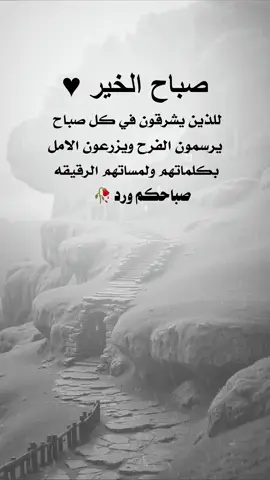 #عباراتي_من_القلب صباح الخير للذين يشرقون في كل صباح  #خواطر_للعقول_الراقية #اكسبلورexplore #اليمن🇾🇪 #صنعاء_تعز_عدن_اب_ذمار_حجة_حضرموت 