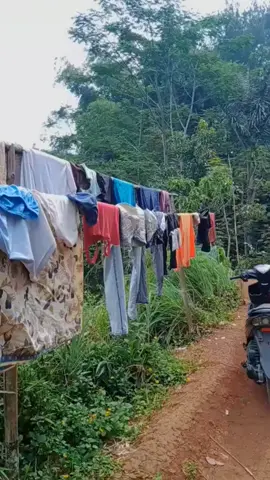 kampung nagrog #perkampungansunda #suasanapedesaan #pedesaan #suasanadesa #pelosokdesa 