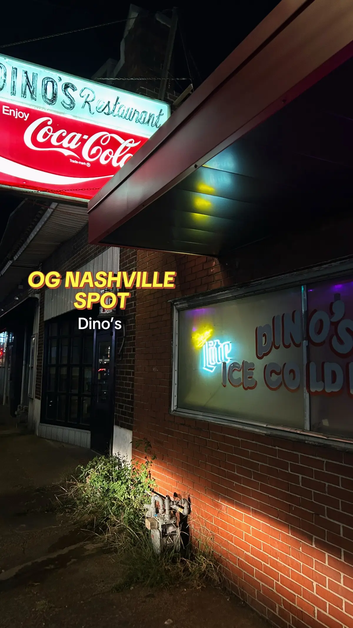 Dino’s Bar & Grill #burgers #nashvilleburger #divebar #nashvilledive 