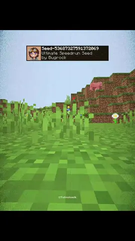 Minecraft Ultimate Speedrun Seed Moment fyp gak ya?  #minecraftbuild #minecraftbuilding #minecraftindonesia #Minecraft 