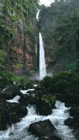 Air terjun kapas biru #waterfal #airterjunkapasbiru #panoramakapasbiru #tumpaksewuwaterfall #fyp 