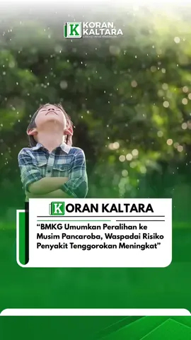 Badan Meteorologi, Klimatologi, dan Geofisika (BMKG) mengumumkan peralihan musim ke pancaroba. Perubahan cuaca yang tidak menentu—siang terik, sore hujan deras, hingga malam berangin kencang—berdampak langsung pada kesehatan masyarakat. Kondisi ini membuat daya tahan tubuh menurun dan meningkatkan risiko penyakit, terutama Infeksi Saluran Pernapasan Akut (ISPA), flu, serta radang tenggorokan. Kementerian Kesehatan RI mencatat, musim pancaroba menjadi periode dengan kasus ISPA dan gangguan tenggorokan tertinggi sepanjang tahun. Perubahan suhu dan kelembapan yang drastis membuat virus maupun bakteri lebih mudah berkembang, sehingga penyakit pernapasan melonjak signifikan. Salah satu penyakit yang paling banyak dikeluhkan masyarakat adalah radang tenggorokan. Gejala awal berupa gatal, serak, dan nyeri saat menelan sering berkembang menjadi infeksi lebih serius. Penyakit ini kini masuk dalam lima besar gangguan kesehatan utama saat pancaroba, di samping flu dan batuk. Pekerja yang sering beraktivitas di luar ruangan termasuk kelompok paling rentan. Banyak di antaranya melaporkan keluhan tenggorokan kering, sakit saat menelan, hingga kehilangan suara sementara. Kondisi ini bukan hanya mengganggu kesehatan, tetapi juga menurunkan produktivitas kerja. Untuk mengurangi risiko, pakar kesehatan menyarankan sejumlah langkah sederhana. Di antaranya dengan memperbanyak minum air hangat, tidur cukup, rutin berolahraga, serta mengonsumsi madu dan lemon yang dapat menenangkan tenggorokan. Dukungan tambahan juga bisa diperoleh melalui konsumsi senyawa aktif tertentu yang membantu melawan kuman penyebab radang. Masyarakat diimbau lebih waspada menghadapi pancaroba tahun ini dengan menjaga pola hidup sehat, mengurangi paparan polusi, dan segera berkonsultasi dengan tenaga medis jika mengalami gejala berkepanjangan.
