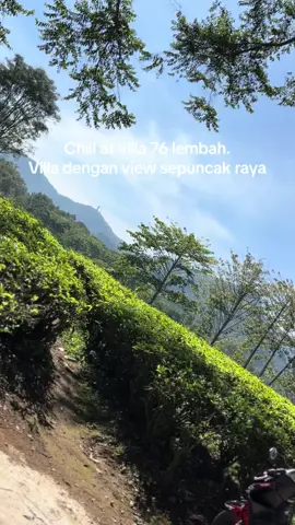 #villa 76# kebunte teh# gunungmas#