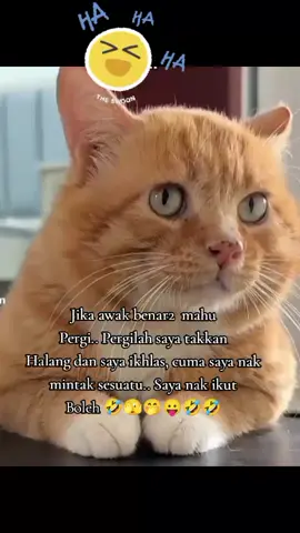# nak ikut boleh 🤣🤭😆
