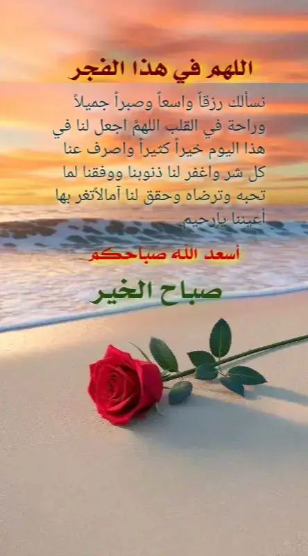 #صباحكم_أحلى_صباح🌹🌹  #صباح_الورد🌷 