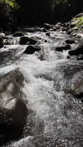 Take me back to the night we met, so i could stop myself from meeting you. #takemebacktothenightwemeet #nature #naturevibes #fyp #fyppppppppppppppppppppppp 