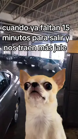 #demonios 