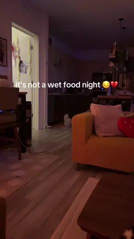 the drama in this house is off the charts 