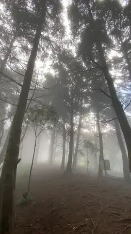 🌬️🍃#alam #prau #puncak #praumountain #pendaki 