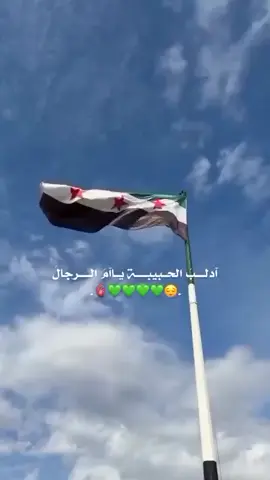 #تصيم_فيديوهات🎶🎤🎬 إدلب الحبيبه يا ام الراجل #متابعه_ولايك_واكسبلور_فضلا_ليس_امر #