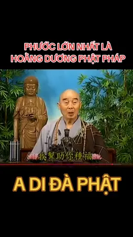 Pháp Sư Tịnh Không khai thị #nammoadidaphat  #httinhkhongkhaithi  #httinhkhong  #tinhdotong 