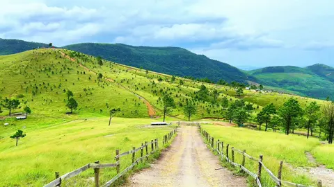 Tín hiệu gửi đến bạn… #phuot #canhdep #travel #touring #fyp 