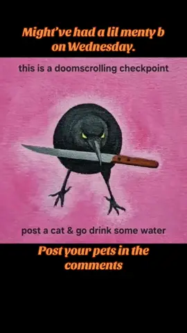 I want to see your cats and doggos, please and thanks. #pets #cats #dogs #doomscrolling #touchgrass