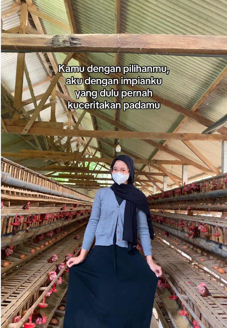 POV #hanyakonten #peternakmuda #ayampetelur #megahantik #quotes 
