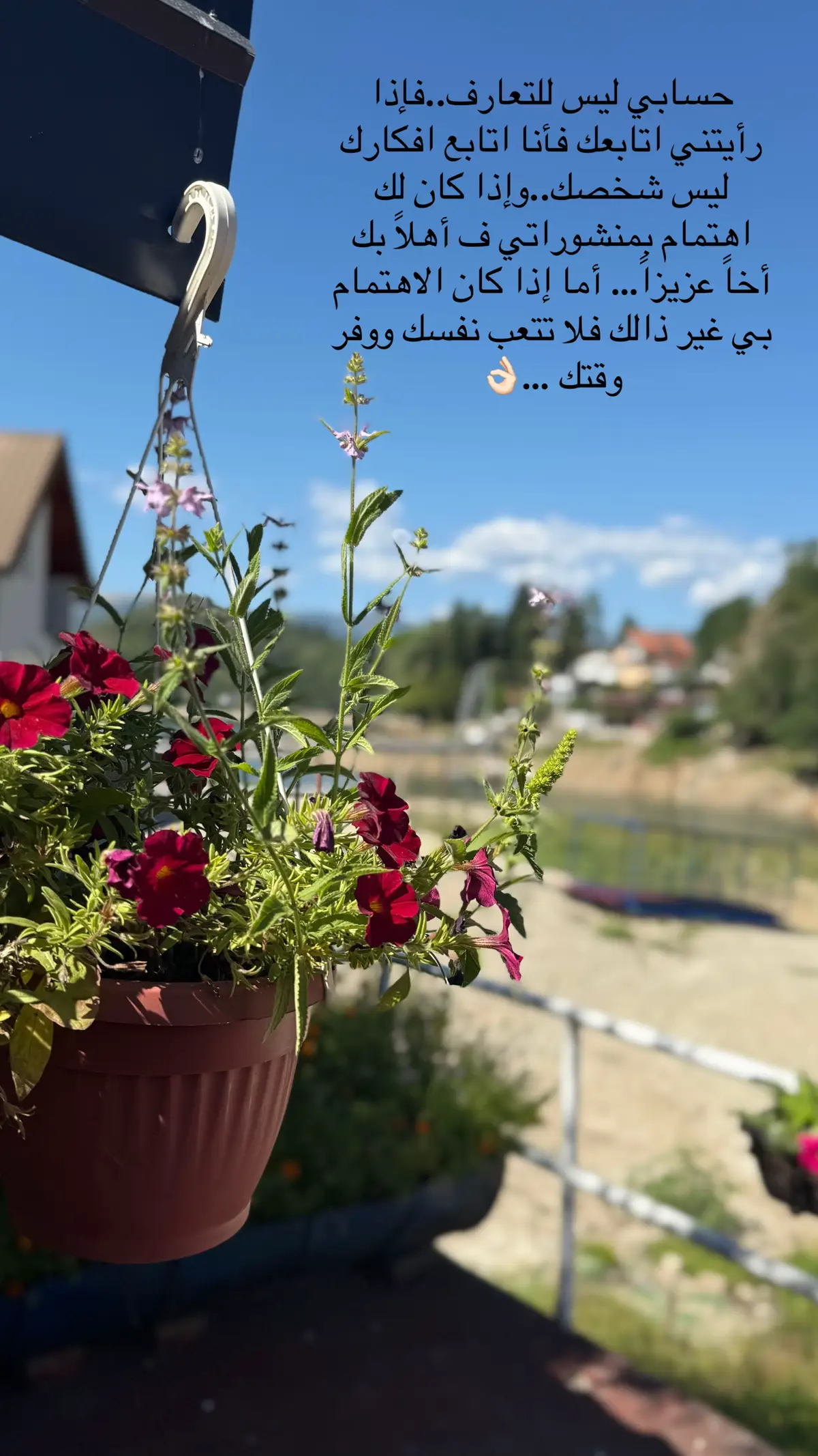 #حسابي ليس للتعارف🤍