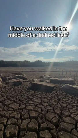 Looked like a whole different planet. #indiana #lincoln #statepark #lake #weird 