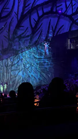 #cirquedusoleil #enjoycancuntours 