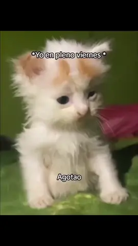 pésimo dia 😕 