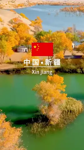 Witness nature's final masterpiece in Xinjiang! By late October, the poplar forests on Hulu Island transform into a blazing sea of gold—their twisted trunks and radiant leaves creating a surreal landscape against desert dunes and sapphire skies. As the sun sets, the trees glow like embers, casting long shadows across the Tarim River. This is where time stands still, and every leaf tells a story of resilience. Don’t miss this 20-day window of magic! #XinjiangAutumn  #GoldenPoplars #HuluIsland #DesertMagic #ExploreChina