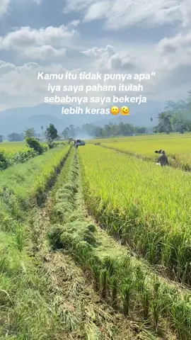 #pamejangotopasangki #kubota #anakpetani🌾 #fypppppppppppppppppppppp #fypage 