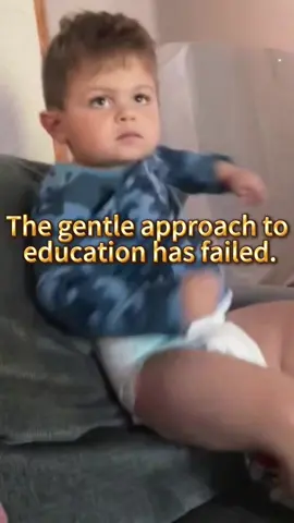 The gentle approach to education has failed #TikTok #Foryou #funnyvideos #Fyp 