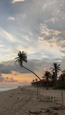 #fyp #kevincarbajal #acapulco les encantó,? Ami si😍🧡