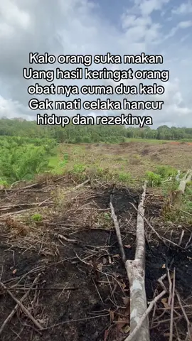 #fyppppppppppppppppppppppp #aminyarobalallamin🤲🏻 #Amin #aminyangkenceng kabar kematian dan ke susahan kao nok ku tunggu , Allah maha segalenye tunjokan bahwa nok ko makan itu benar benar hak aku 😇