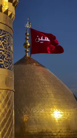 لبیک یا حُسین علیہ سلام♥️#molahussainع🥀#releasengineirmuhammadalimirza #goviral #tiktok #foryoupageofficiall❤️❤️tiktoklover 