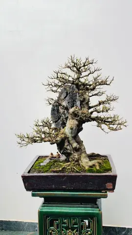 Nước đầy thì tràn Trăng tròn thì khuyết. Trên đời này không có thứ gì hoàn hảo....