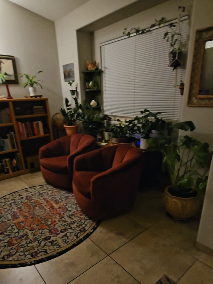 #thriftobsessed #obsessedwithit #thriftdecor 