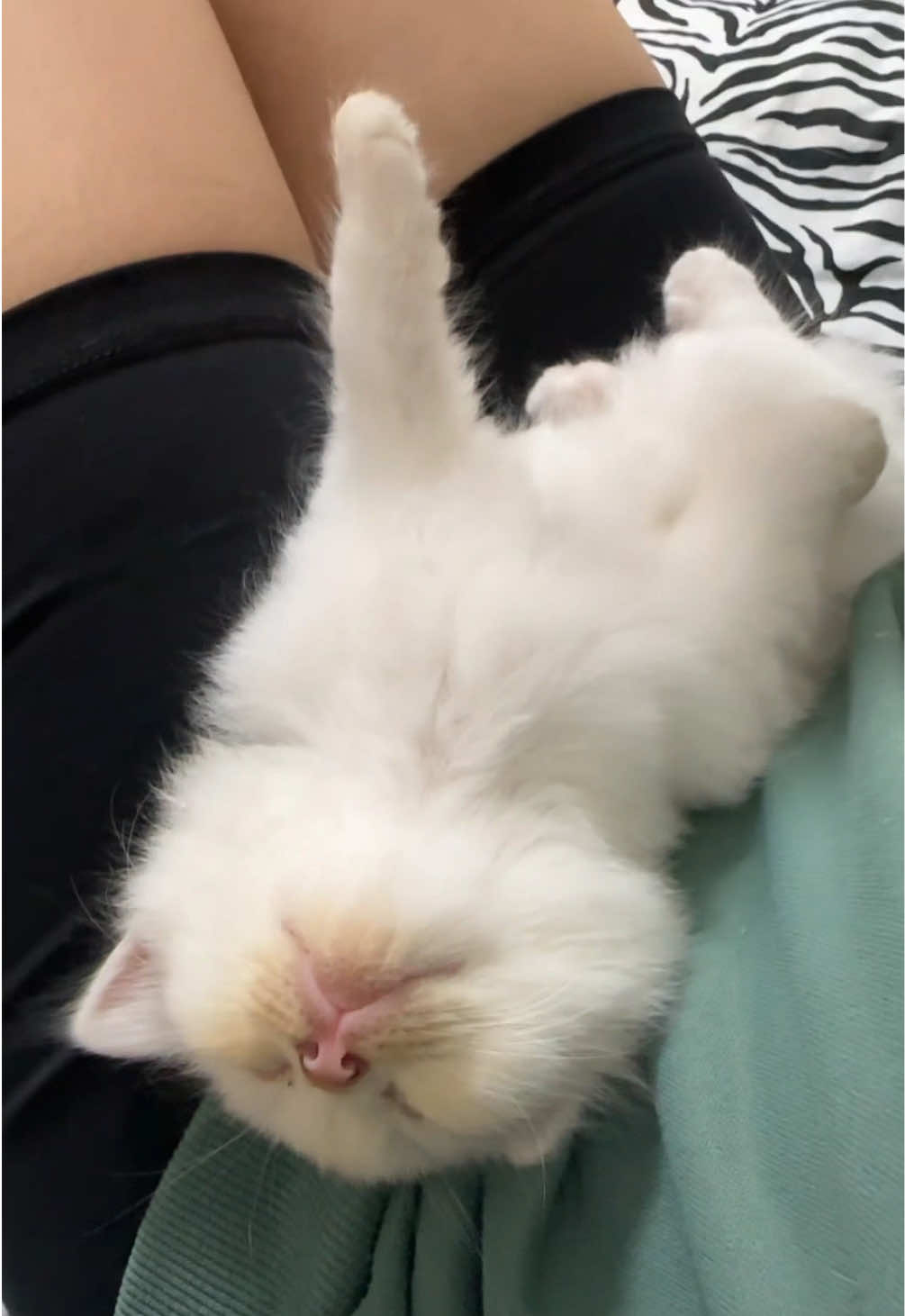 Ay tulog na pala sorry sorry 