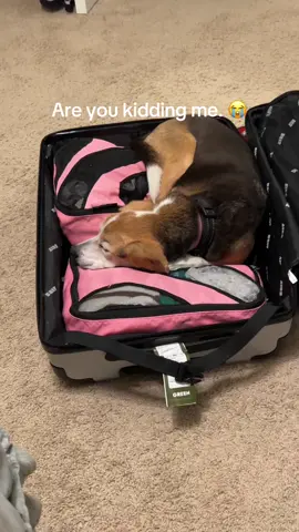 How am I suppose to leave for my trip tomorrow 😭