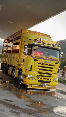 #fyppppppppppppppppppppppp #perongüzeli👑 #fyourpage #scania #sebzejeti 