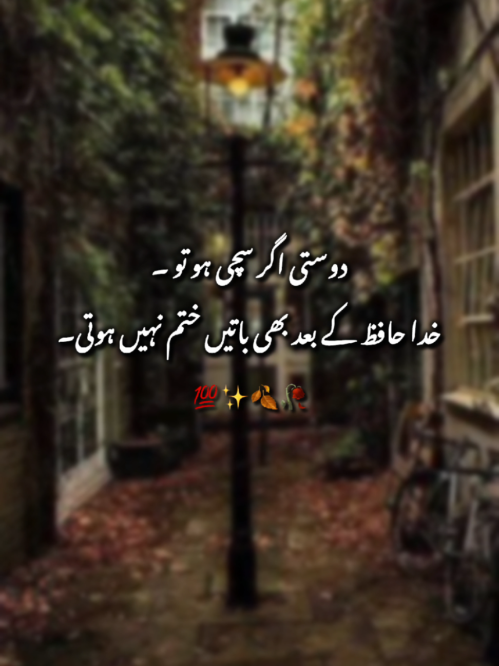 Exectely 💯🥺🥀  #fyp #tiktok  #foryou #shayeri #urdupoetry 