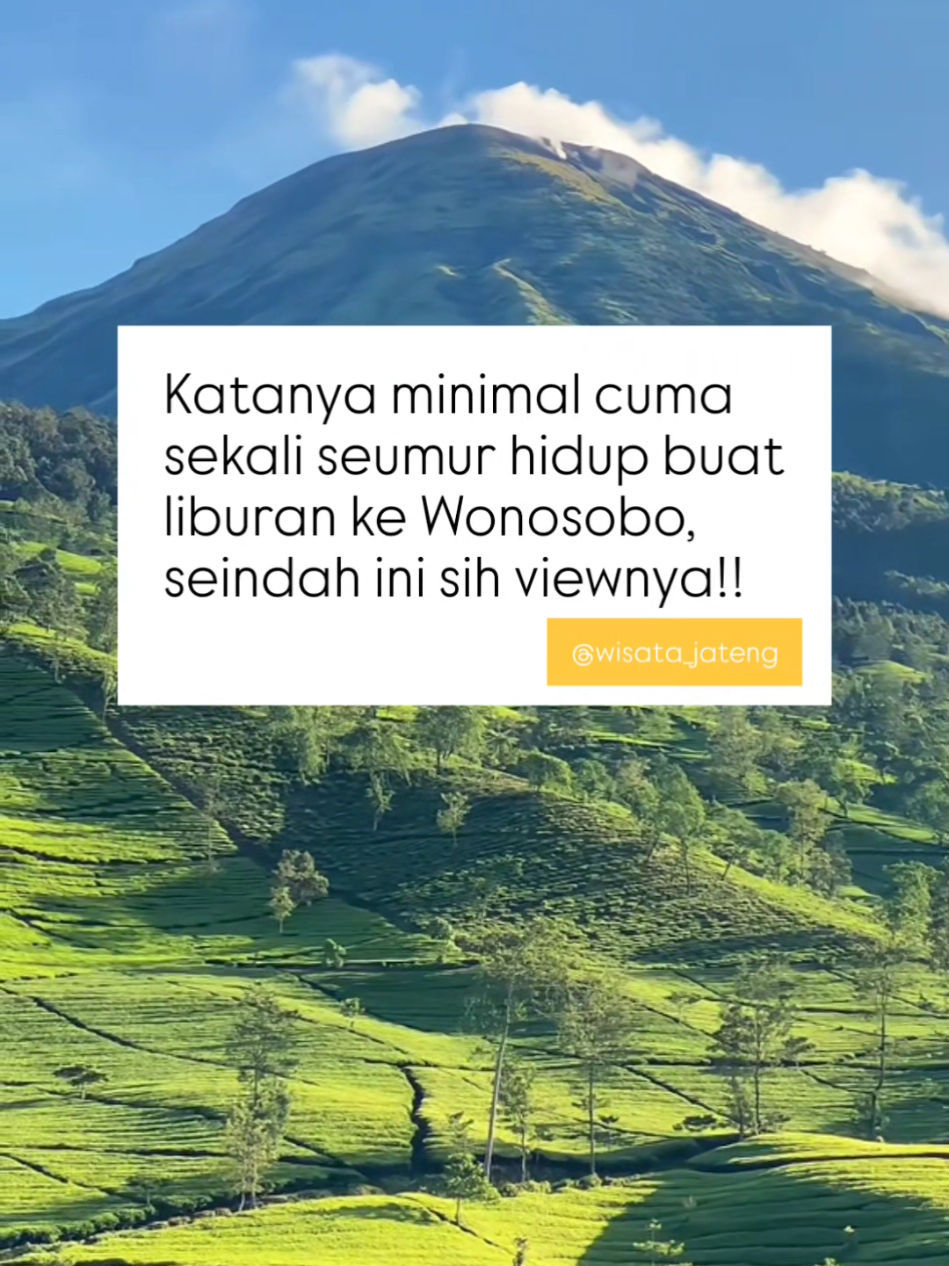 Emang secakep inj sih 😍 Vt /staywithrizzz #gunungcilik #wonosobo #kebuntehbedakah #fyp 