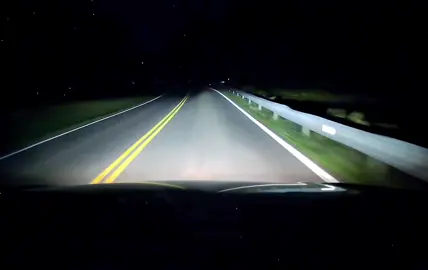 Just chillin in the road🤣🤣