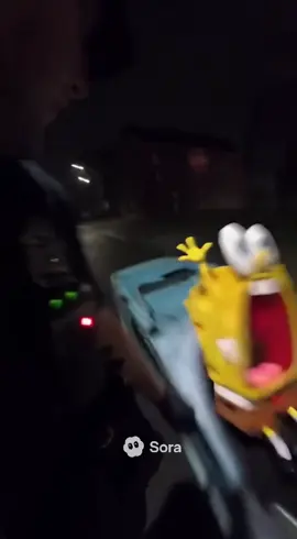 No way Ms. Pearl actually gave bro a license. #police #bodycam #aivideo #policecam #sora 