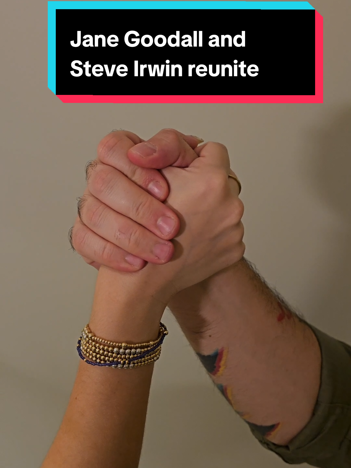 My allergies must be kicking in seeing Jane Goodall and Steve Irwin reunite with the greatest animal we've ever known... 🥹🥲 #skits #sketchcomedy #comedy #harambe 