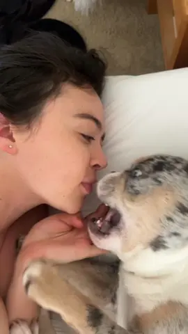 #tattoo #tattooideas #tattoos #tattooartist #tattooflash                      