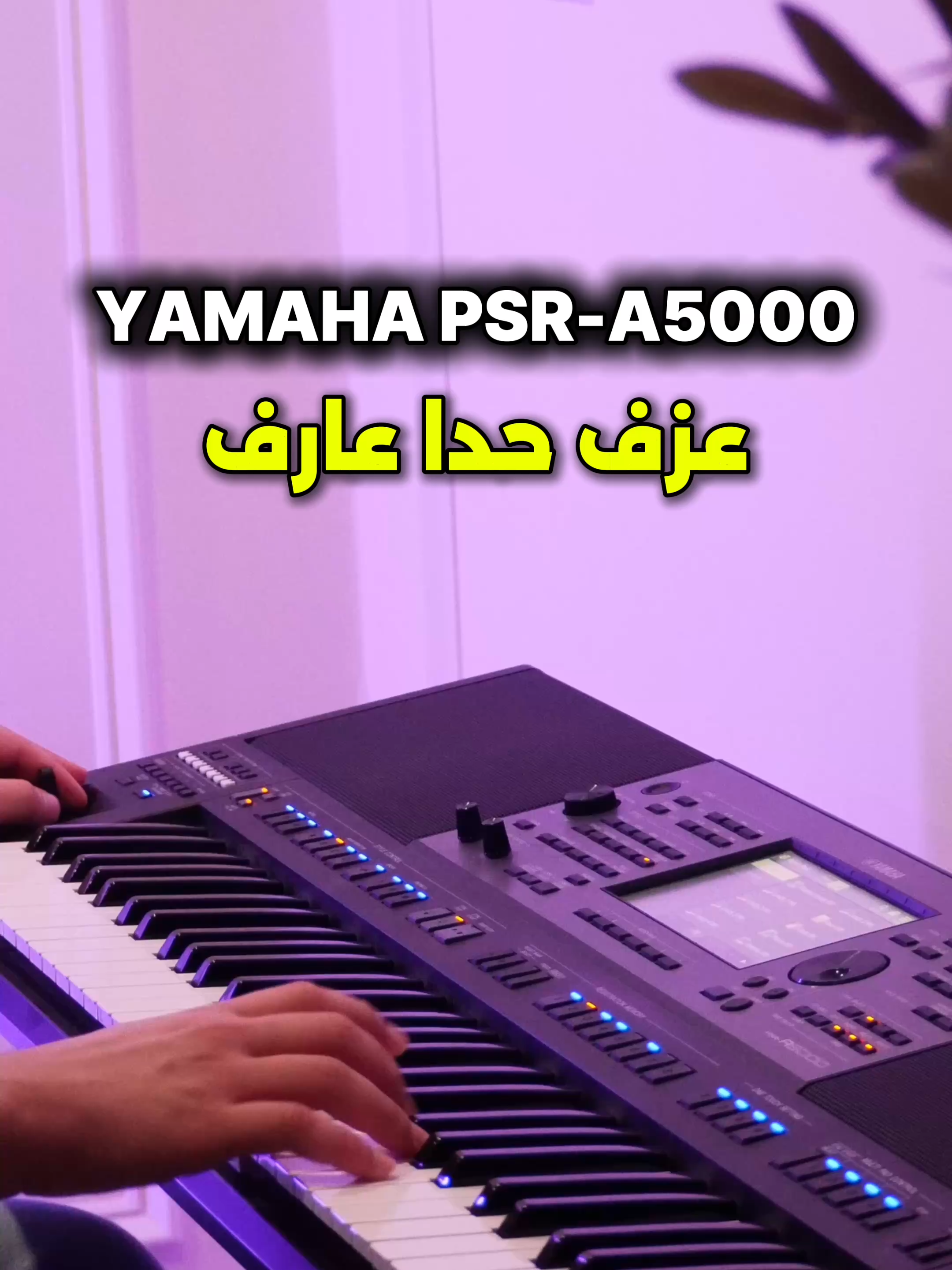 🎶 Hada Aref (Cover) | Azif Sound Pack on Yamaha A5000 Playing a little Hada Aref 🎹✨ using the Azif Sound Pack on my Yamaha A5000 (ياماها خمستلاف). كل الأصوات اللي عم تسمعوها هون من عزف ساوند باك — authentic tarab vibes straight from the keyboard. Super fun to jam on these sounds, hope you enjoy 🙌