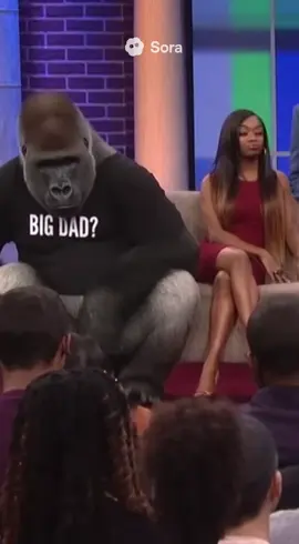 Justice for Hugo, he had a shirt and everything  #ai #sora #gorilla #monkey #dnatest