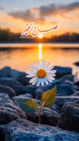 اللهم إنّا نسألك الستر والعافية والمعافاة في الدنيا والآخرة، اللهم اغفر لنا وارحمنا وتب علينا إنك أنت التواب الرحيم