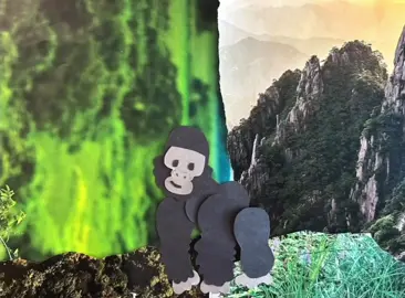 they don’t belong in zoos. we’re all the same. #stopmotionanimation #animation #art #animalrights 