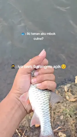 ruh dewe#waderjogja #microfishing #mafiafhishunter #fyp 