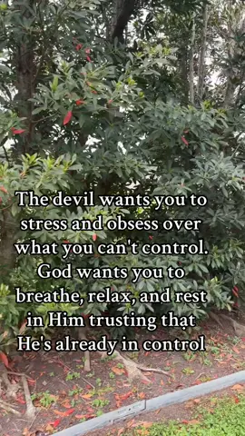 The devil wants you to stress and obsess over what you can't control. God wants you to breathe, relax, and rest in Him trusting thạt He's already in control#trust #in #jesus #peace #genx 