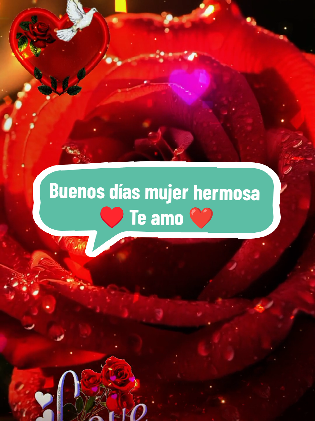 Buenos días mujer hermosa Te amo #CapCut #buenosdias #cosasdeparejas #fyp #usa🇺🇸 